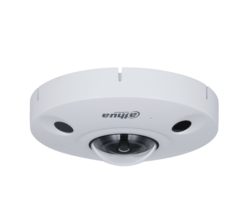 IPC-EBW81242-AS-IVC-S2 - FishEye IP Panamorph H265 12M DN IR10m 1.29mm IR10m IK10 IP67 Audio SD PoE MIC E/S AI