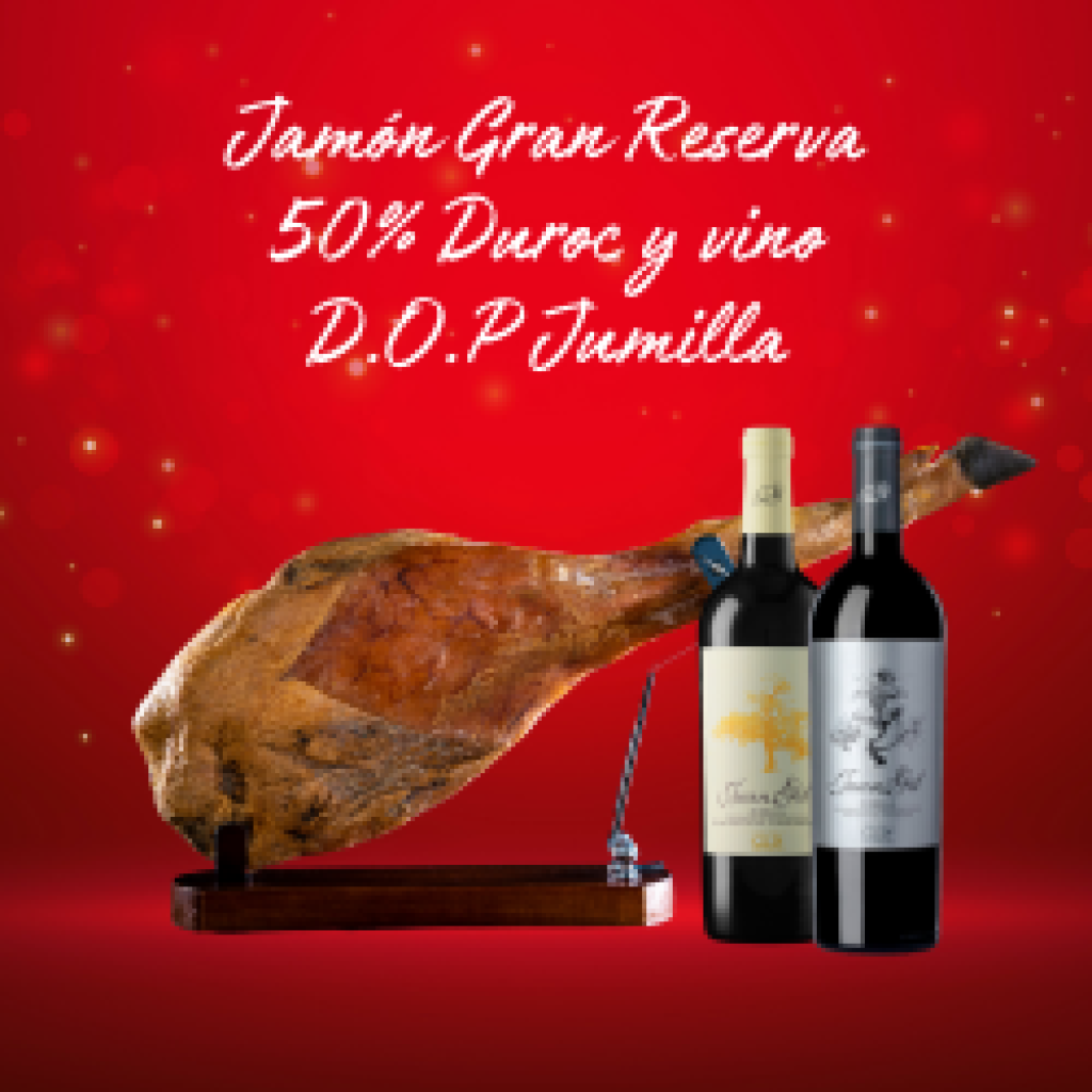Sorteo de Navidad MundiCam Pr1