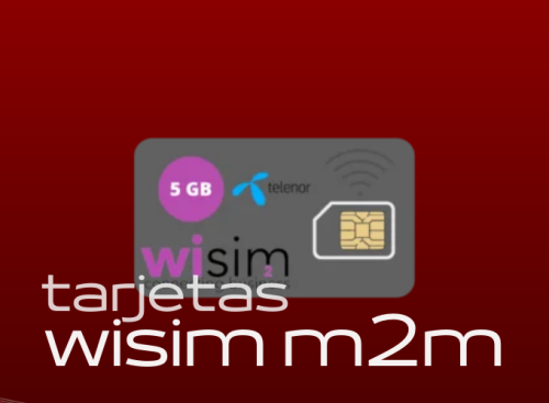 Productos de Seguridad Tarjetas m2m